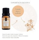Kit - 5 Essências Via Aroma 10ml Para Aromatizador E Difusor
